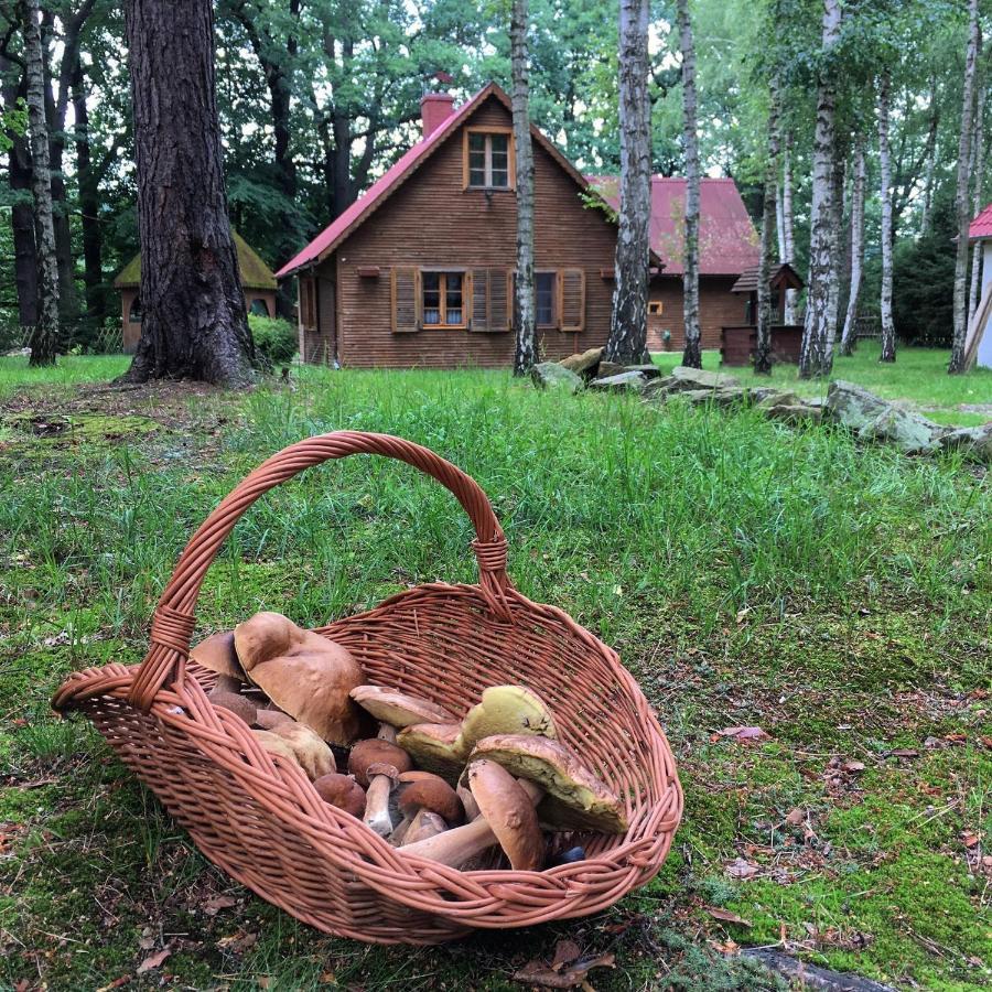 Villa Zakatek Kliczkow à Osiecznica Extérieur photo